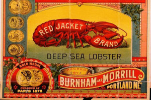 red-jacket-lobster